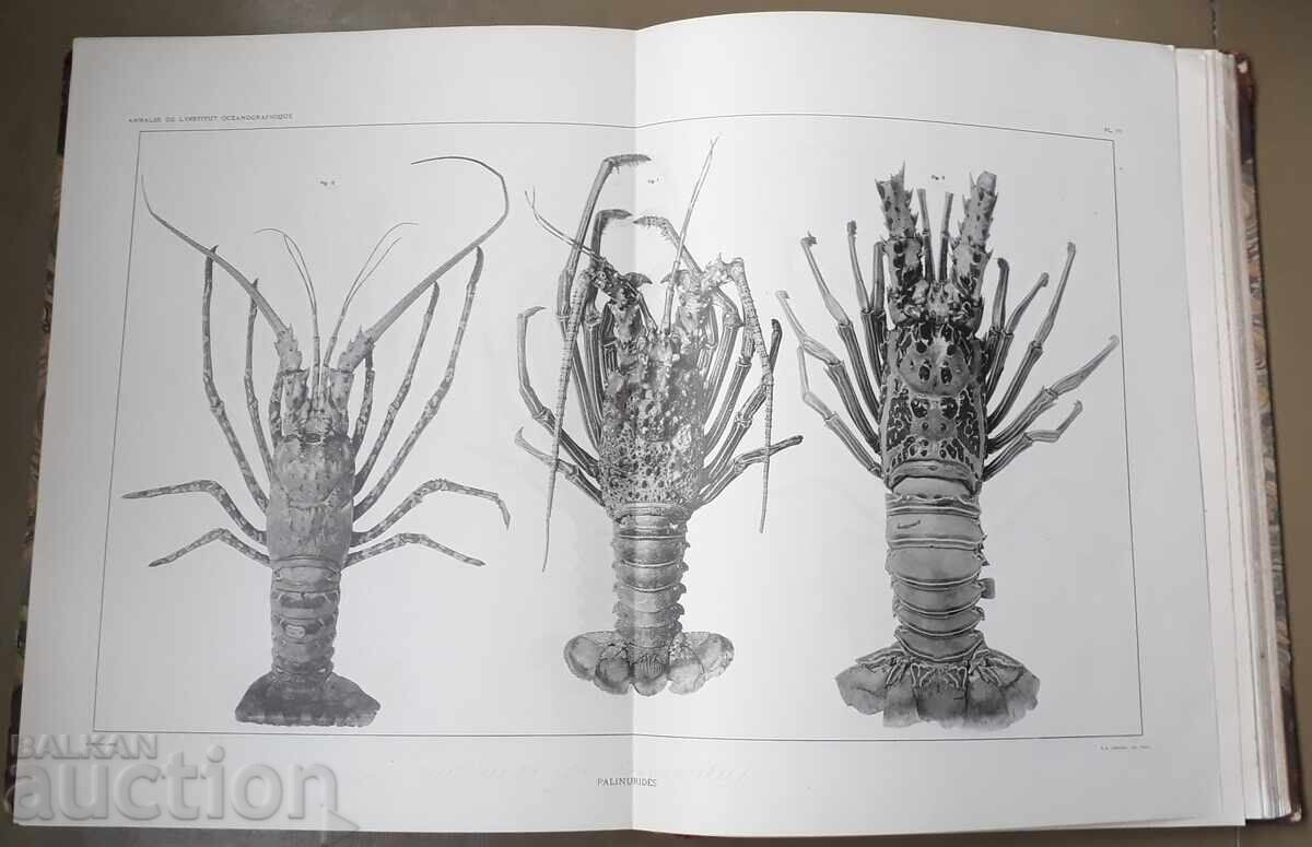 Carte veche - Oceanografie - 5