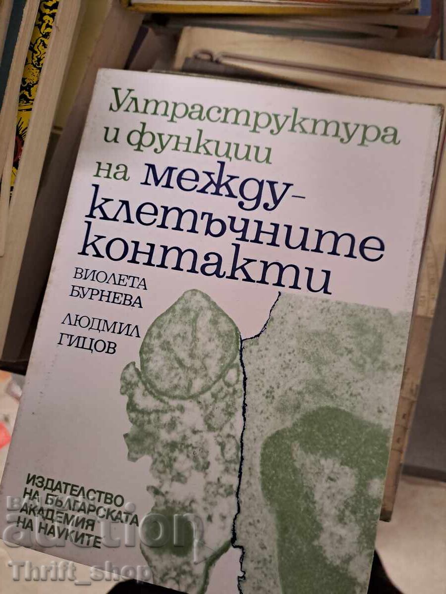 Υπερδομή και λειτουργίες των μεσοκυττάριων επαφών