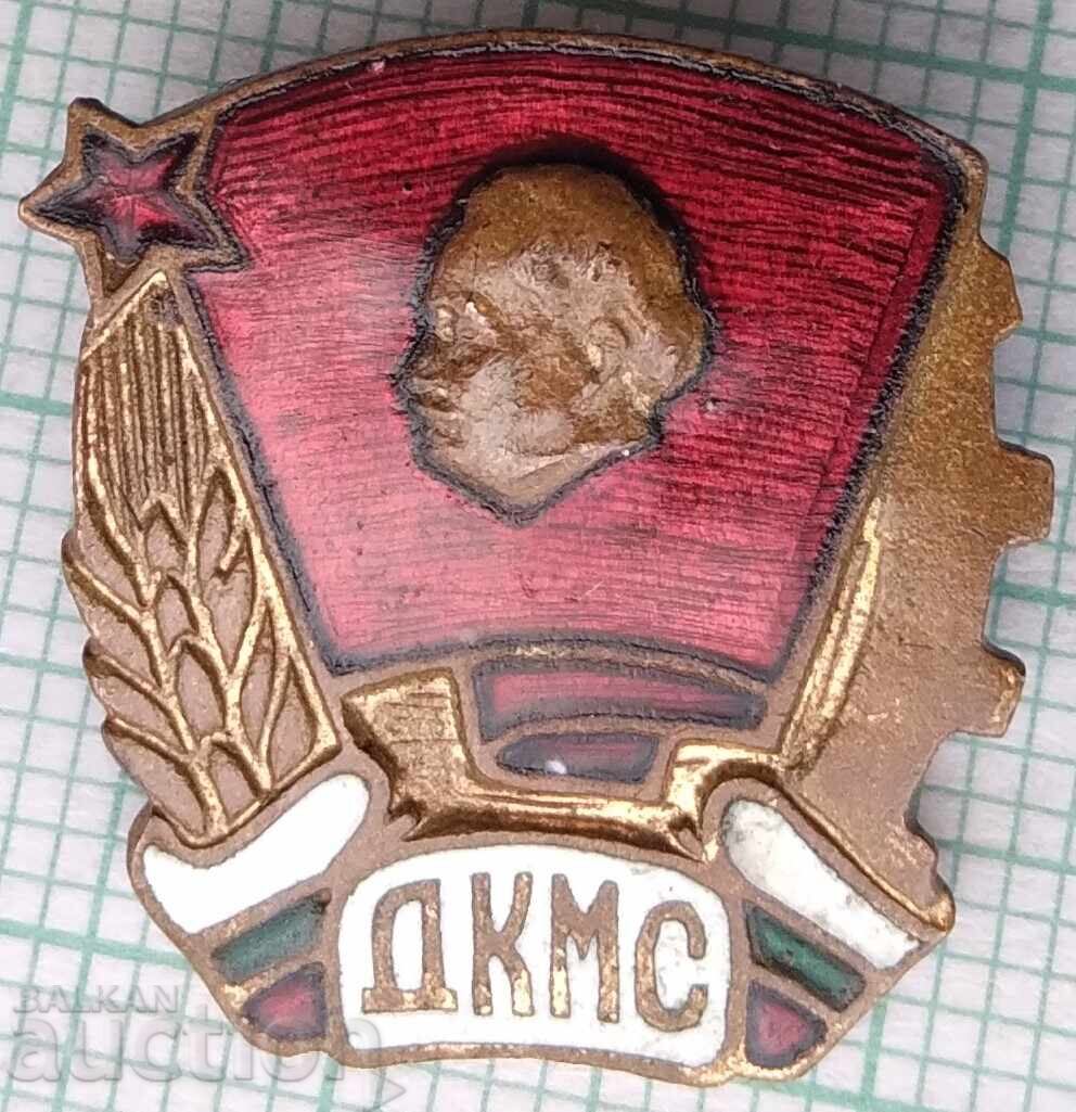 17410 DKMS Komsomol Youth Union - bronze enamel