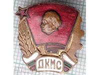 17410 DKMS Komsomol Youth Union - bronze enamel