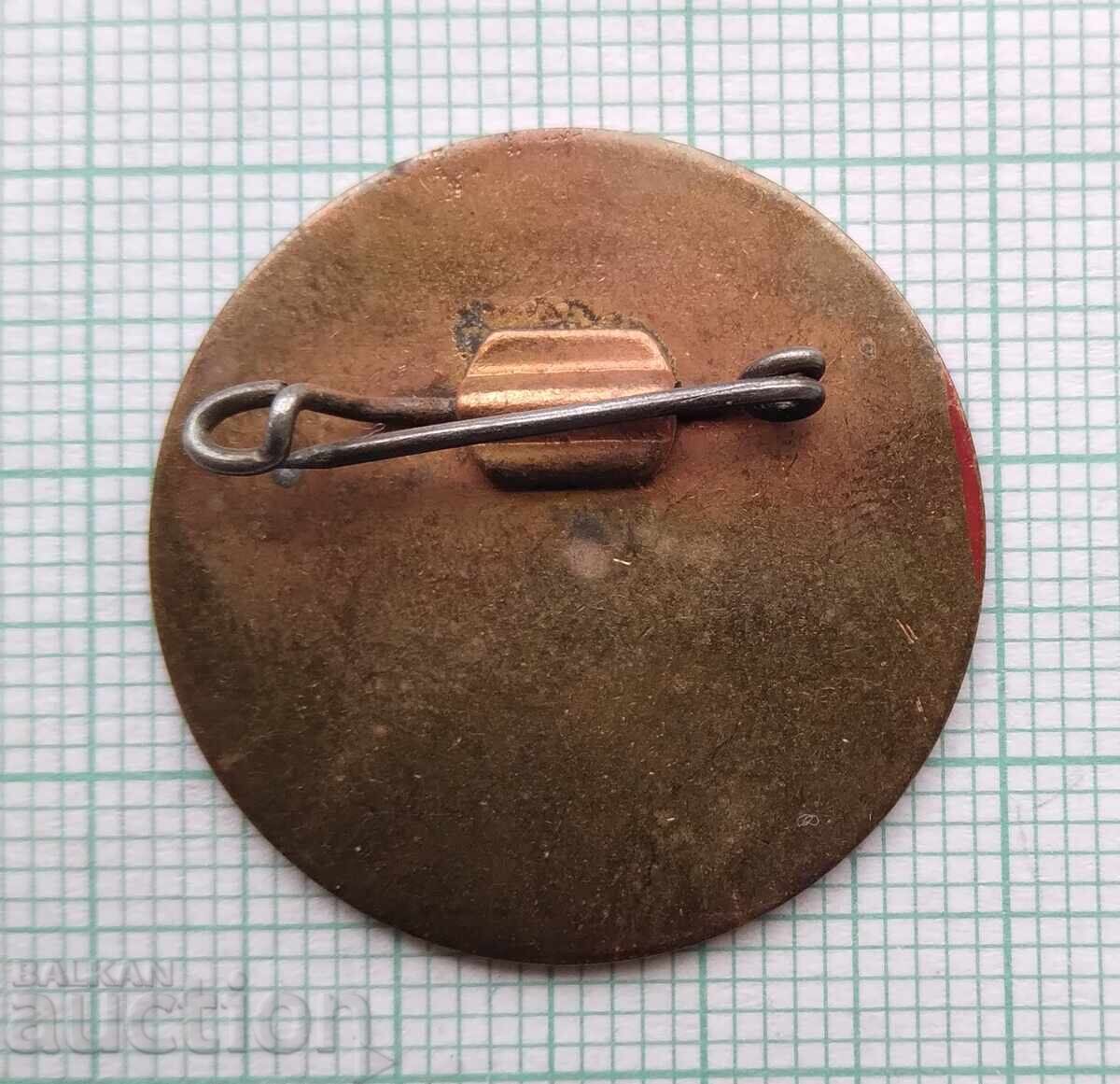 Auction 17414 Badge - 10 years Stan 1150 Auction 17414 Badge - 10 years Stan 1150