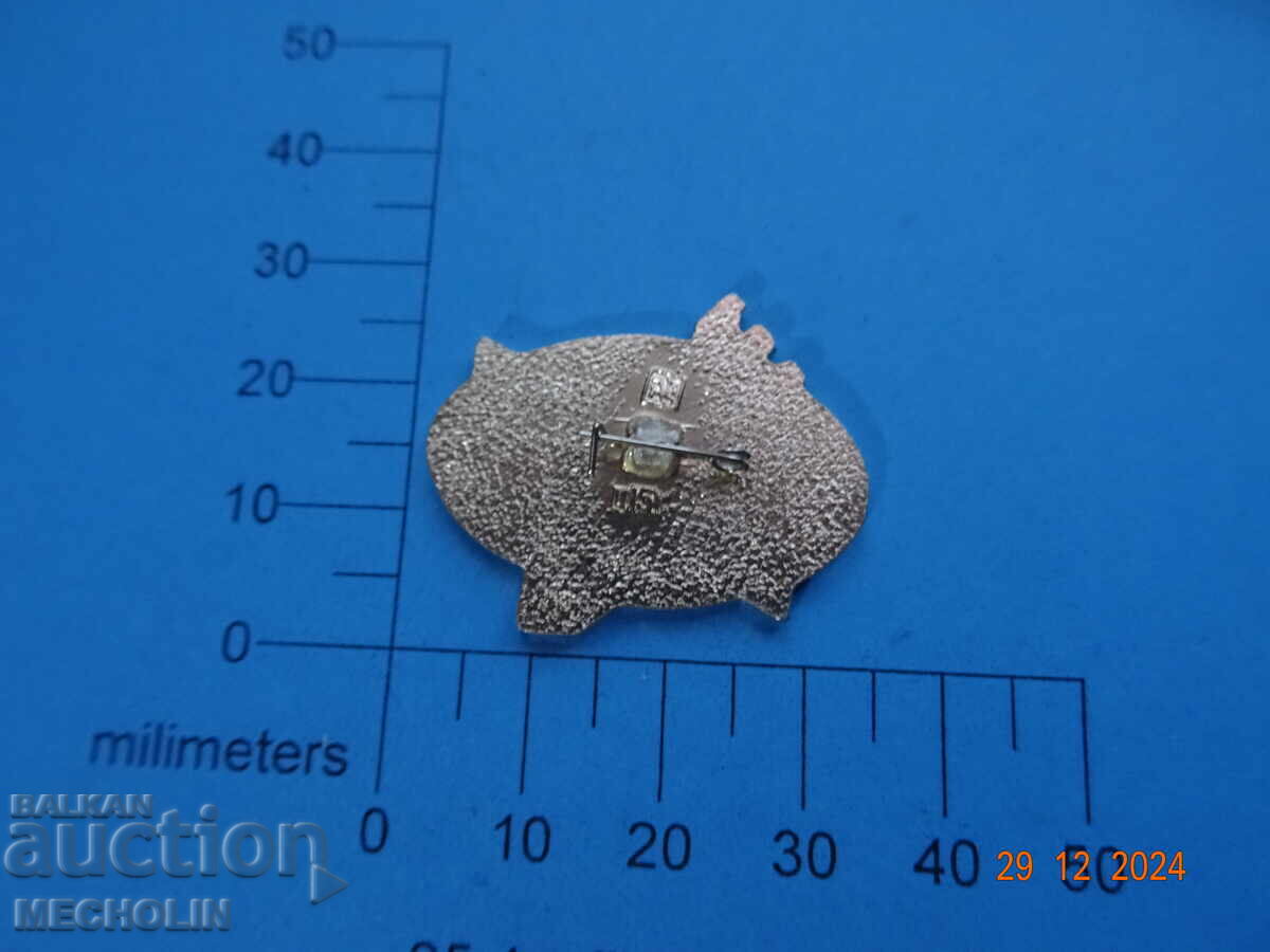 COLLECTIBLE RUSSIAN BADGE NO - 5 COLLECTIBLE RUSSIAN BADGE NO - 5
