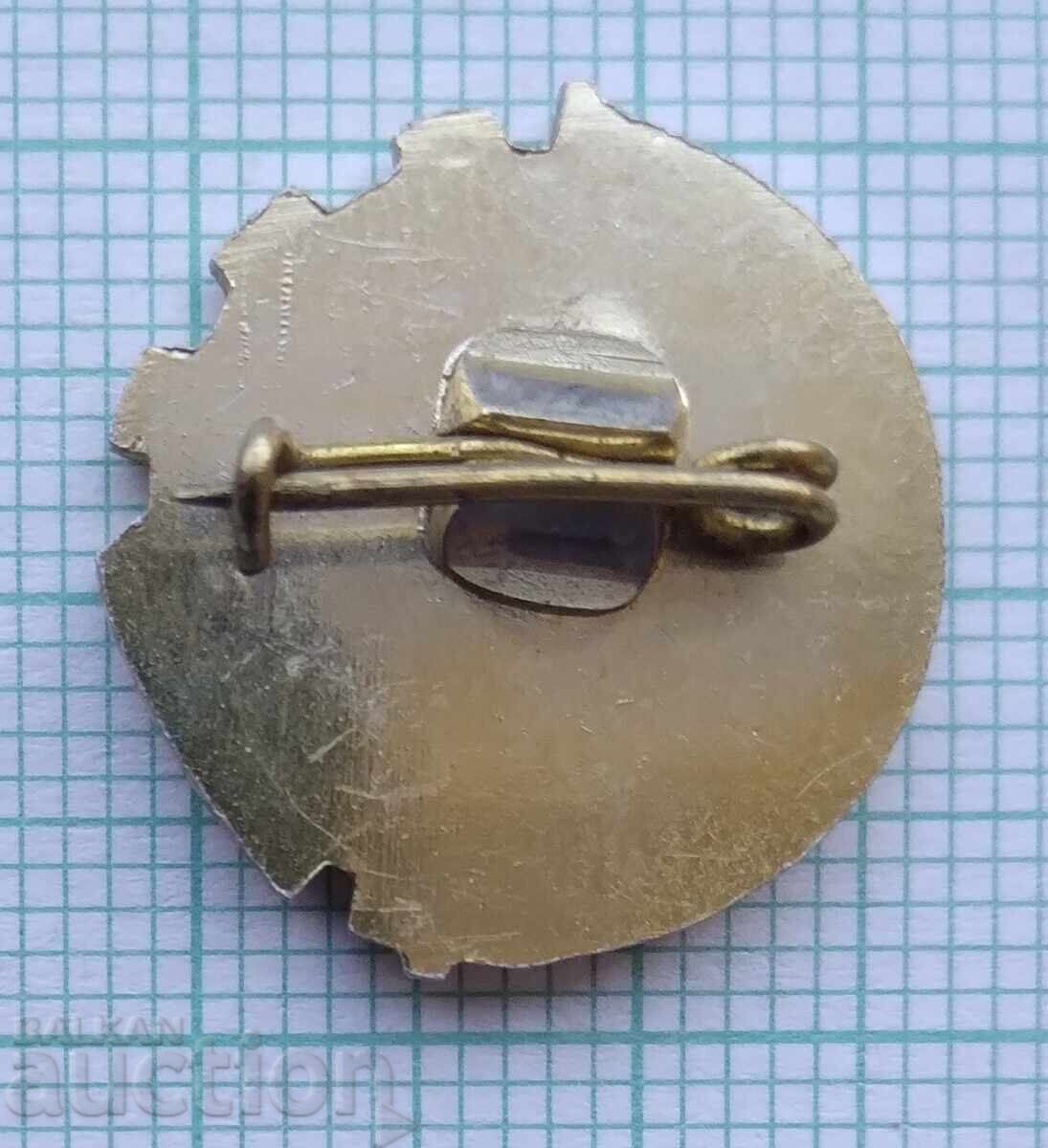 Licitație 17428 Insigna - comunism Frontul Patriotic OF Licitație 17428 Insigna - comunism Frontul Patriotic OF