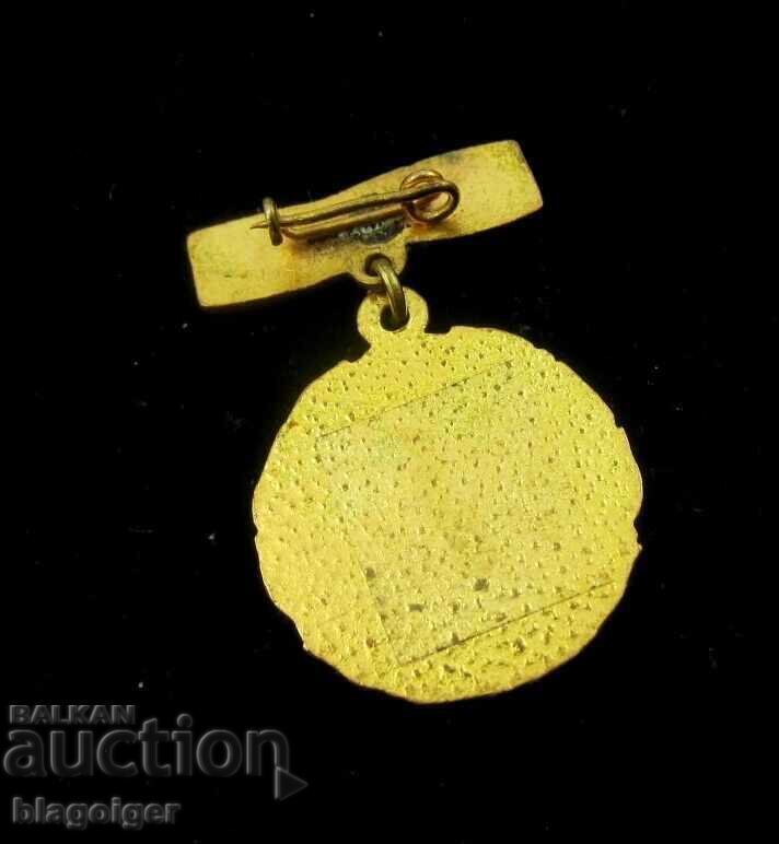 Delivery of Football-Award badge-Enamel-Honorary member-Slavia Sofia Delivery of Football-Award badge-Enamel-Honorary member-Slavia Sofia