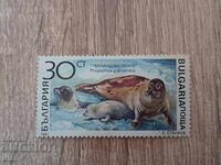 Bulgaria Marine Mammals 1991