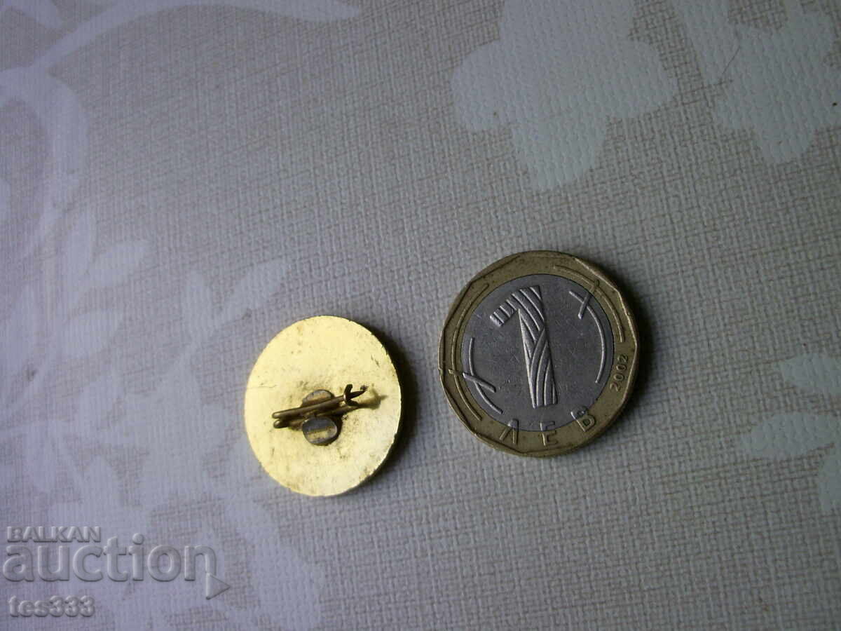 Insigna 81 Şcoala Viktor Yugo Sofia - 5 Insigna 81 Şcoala Viktor Yugo Sofia - 5