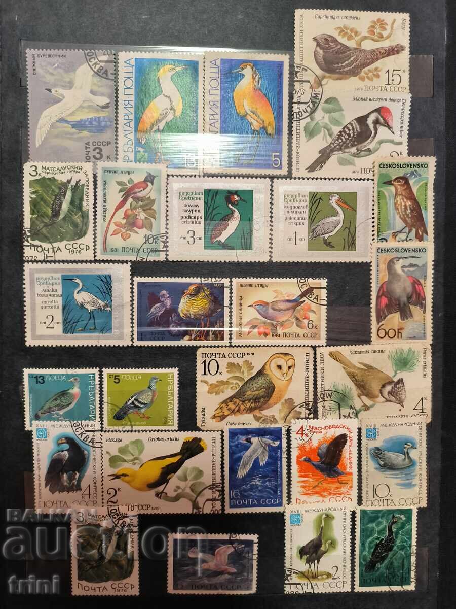 Lot of stamps Fauna Birds 27 pieces with price 3.00 BGN | € 1.53 Lot of stamps Fauna Birds 27 pieces with price 3.00 BGN | € 1.53