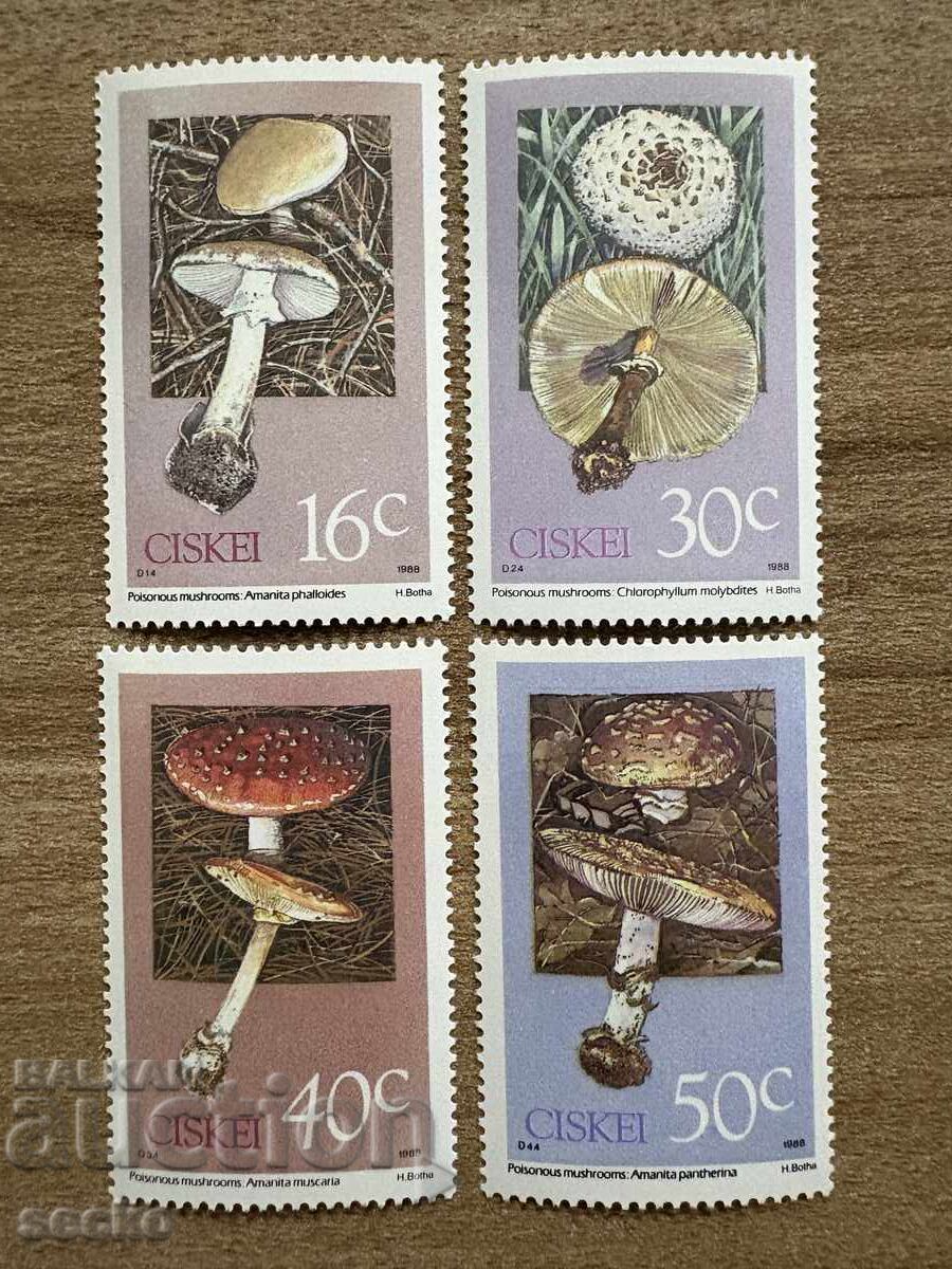 Ciskei - Poisonous Mushrooms (1988) MNH