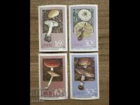 Ciskei - Poisonous Mushrooms (1988) MNH