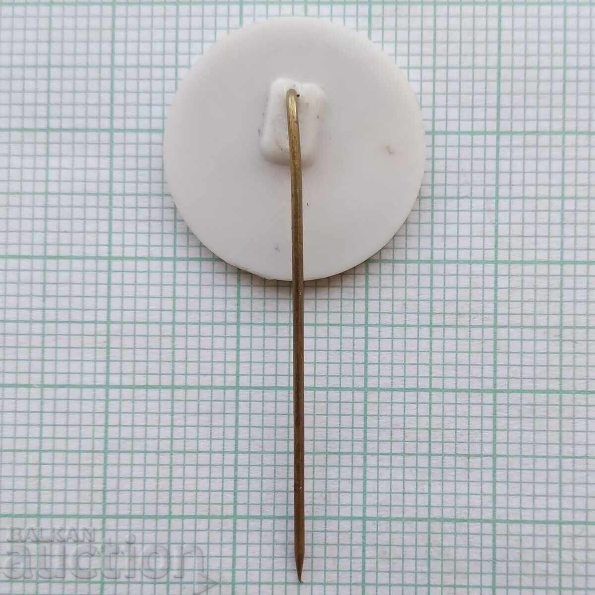 Auction  17528 Technical and Scientific Youth Union Targovishte TNTM