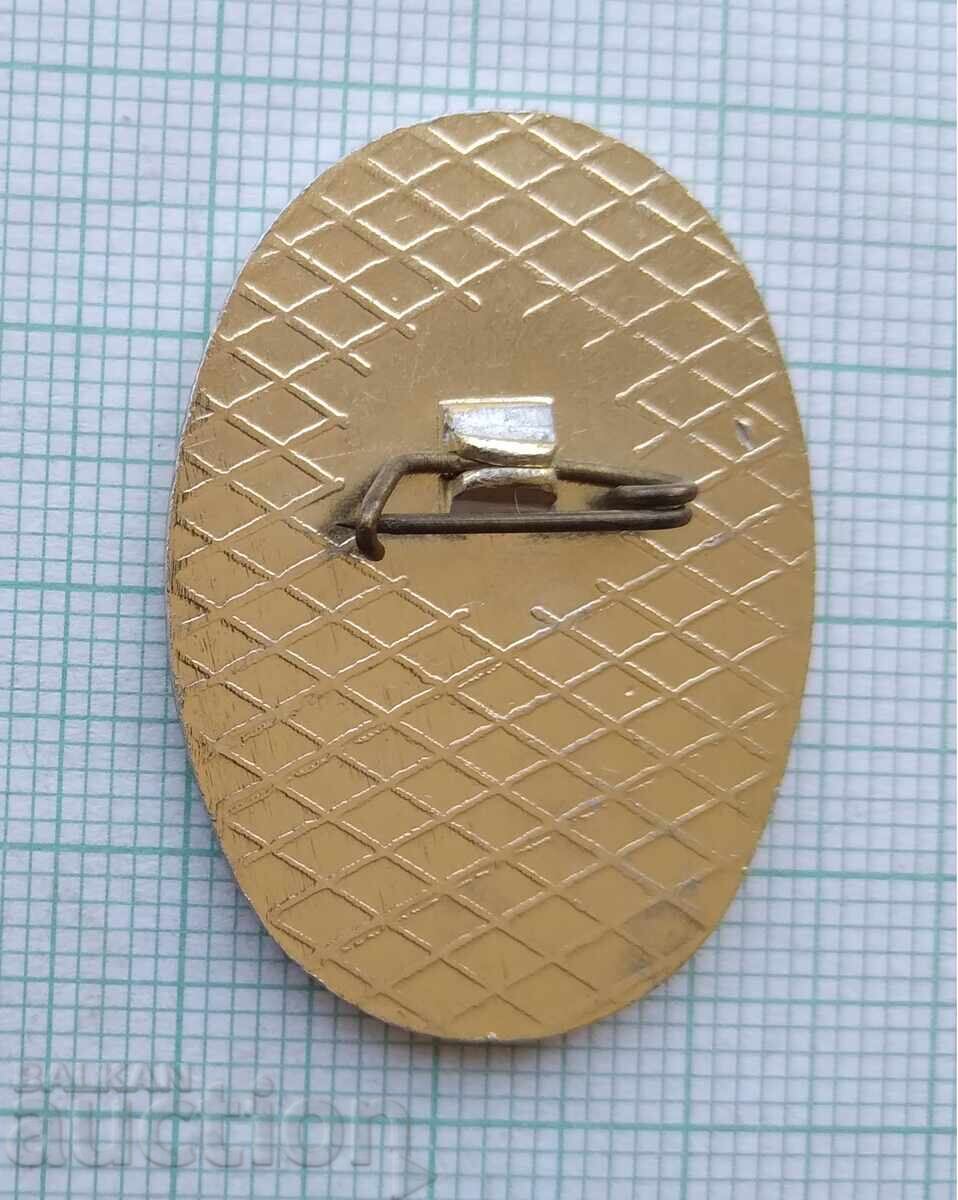 Auction 17541 Badge - Excellent Higher Vocational School Strelets Plovdiv Auction 17541 Badge - Excellent Higher Vocational School Strelets Plovdiv