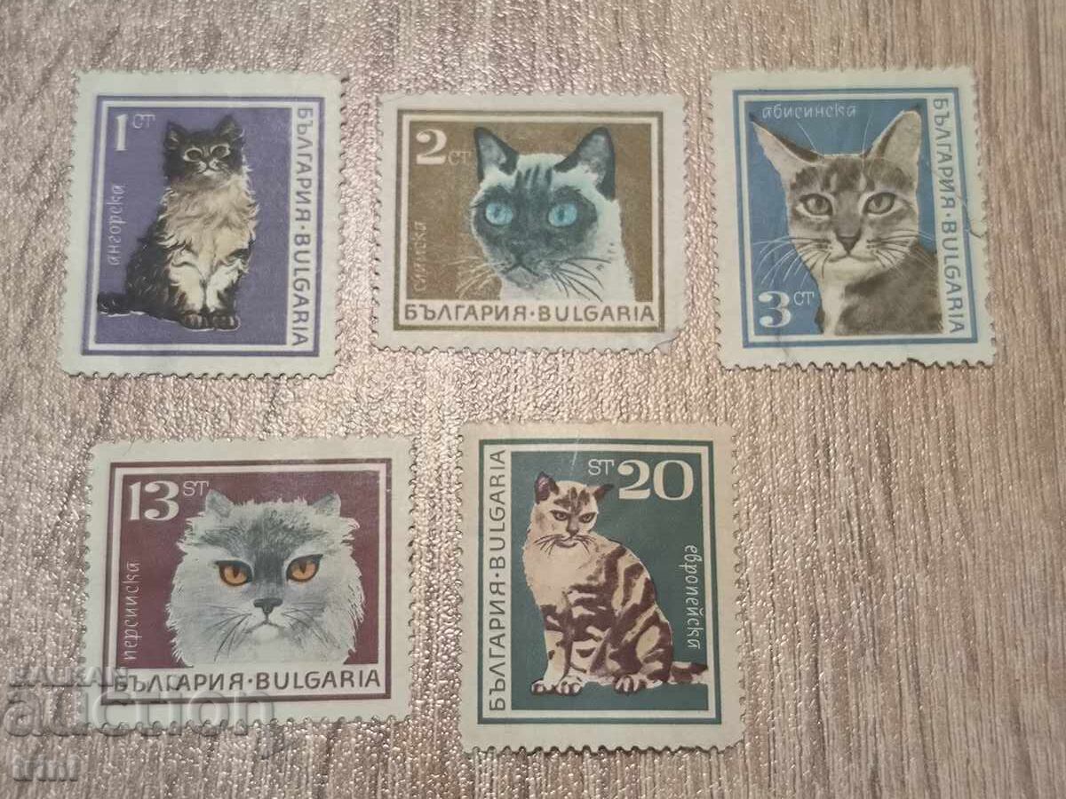 Bulgaria 1967 Cats