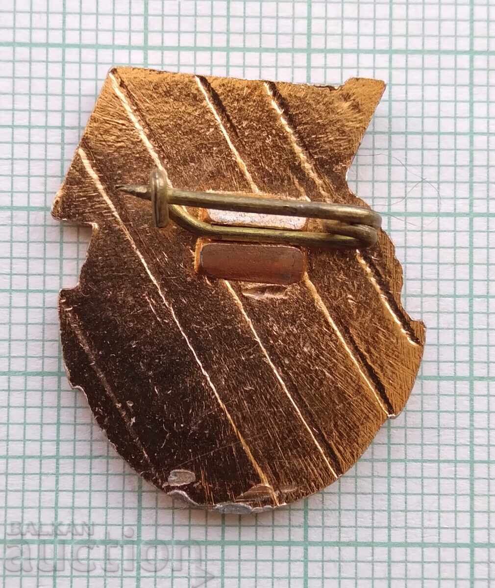 Auction  17557 Badge - Instructor DOSAAF