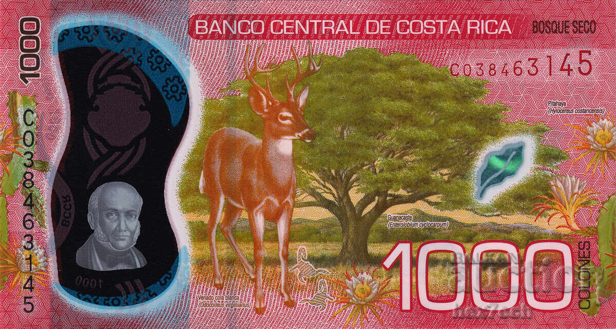 Auction ❤️ ⭐ Costa Rica 2019 1000 column polymer UNC new ⭐ ❤️ Auction ❤️ ⭐ Costa Rica 2019 1000 column polymer UNC new ⭐ ❤️