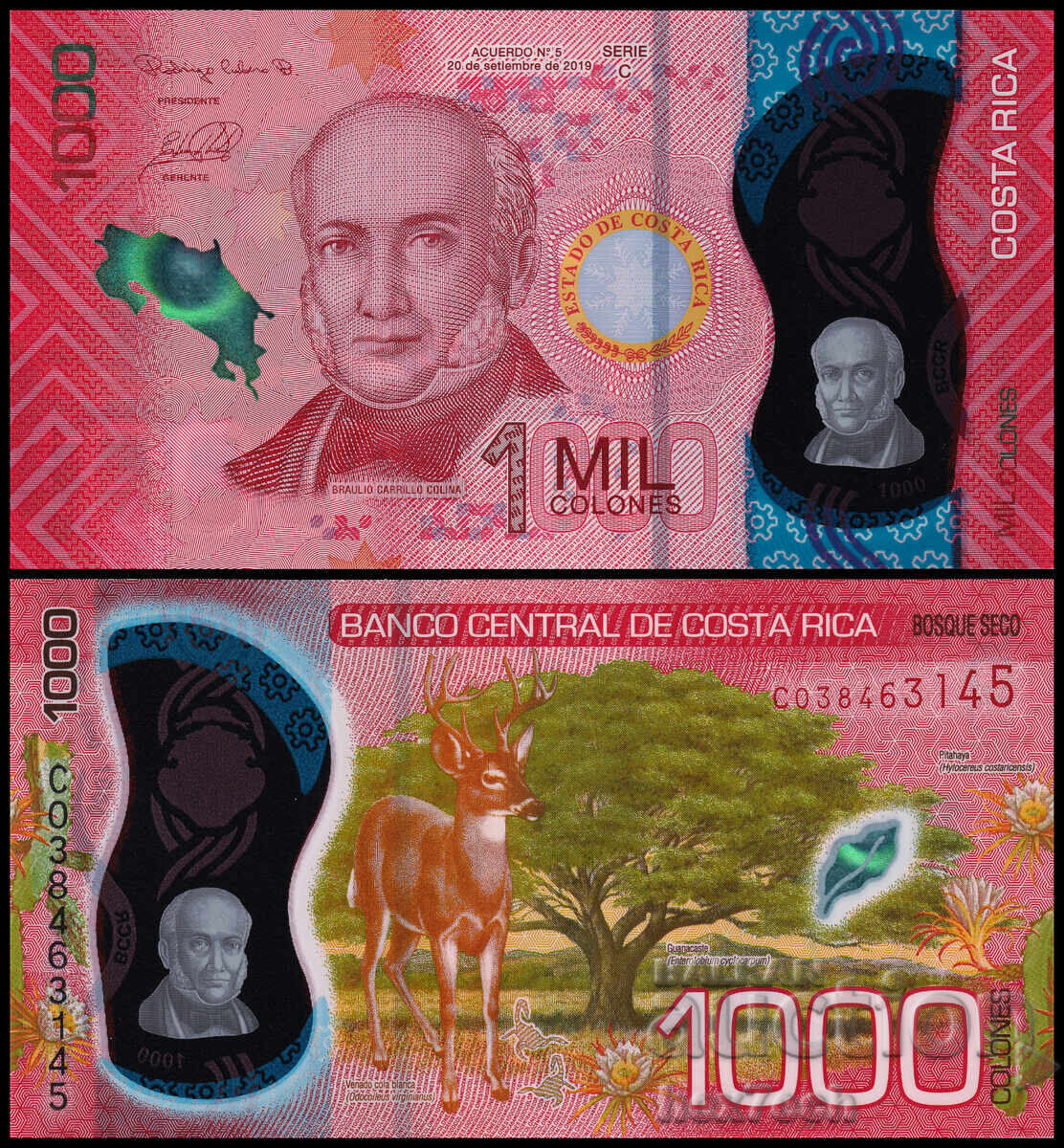 ❤️ ⭐ Costa Rica 2019 1000 column polymer UNC new ⭐ ❤️ ❤️ ⭐ Costa Rica 2019 1000 column polymer UNC new ⭐ ❤️