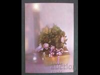 CHNG Congratulations