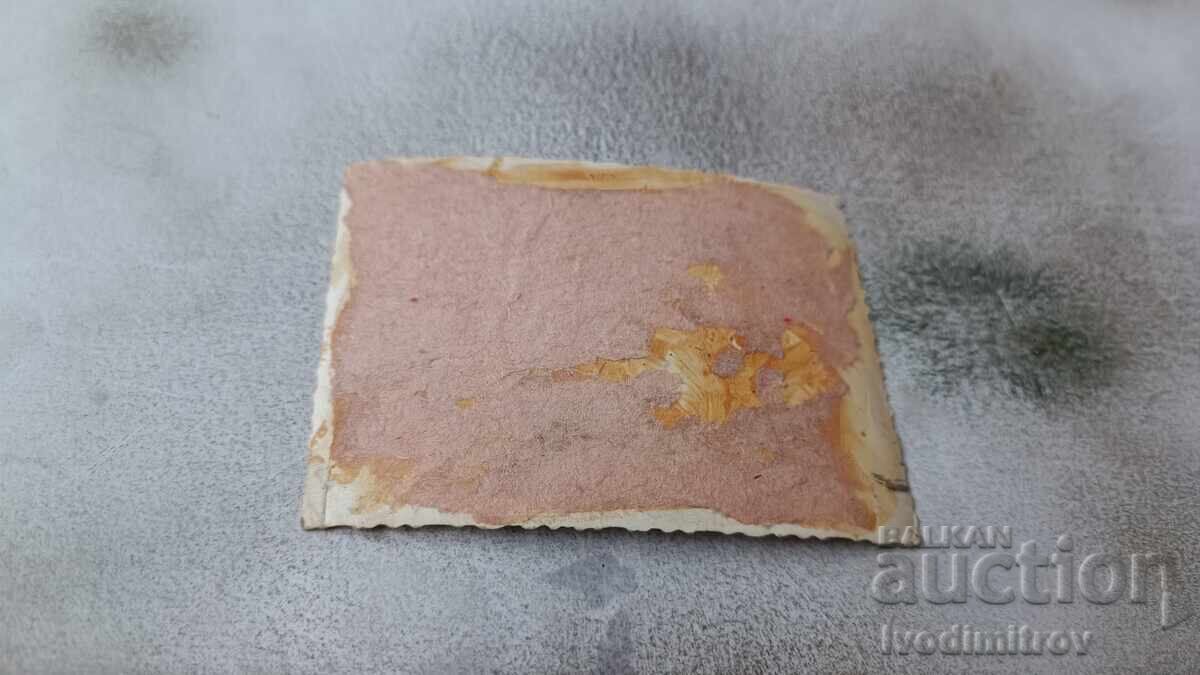 Photo Young girl sitting on the grass with price 1.65 BGN | € 0.84 Photo Young girl sitting on the grass with price 1.65 BGN | € 0.84