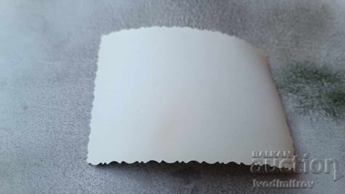 Photo Men and women by a pool with price 1.65 BGN | € 0.84 Photo Men and women by a pool with price 1.65 BGN | € 0.84