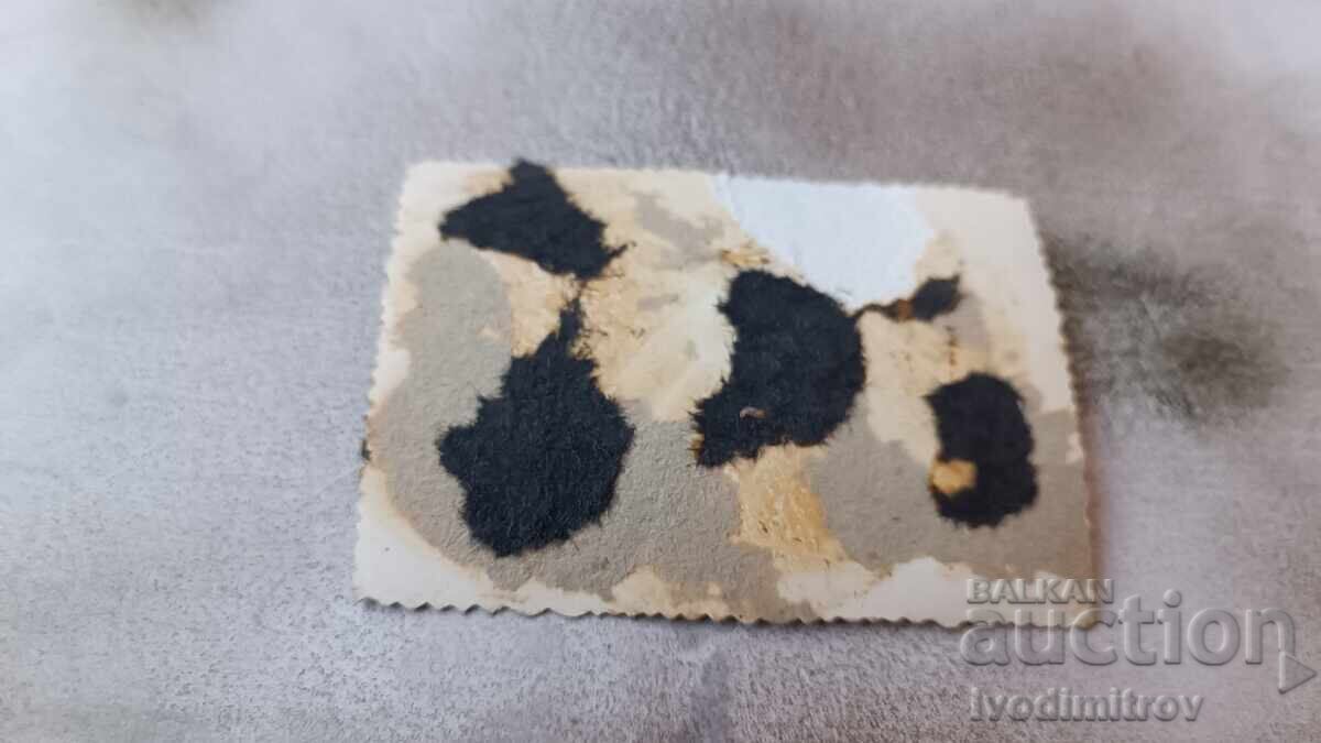 Photo Young girl sitting on a stone in the sea with price 1.85 BGN | € 0.95 Photo Young girl sitting on a stone in the sea with price 1.85 BGN | € 0.95