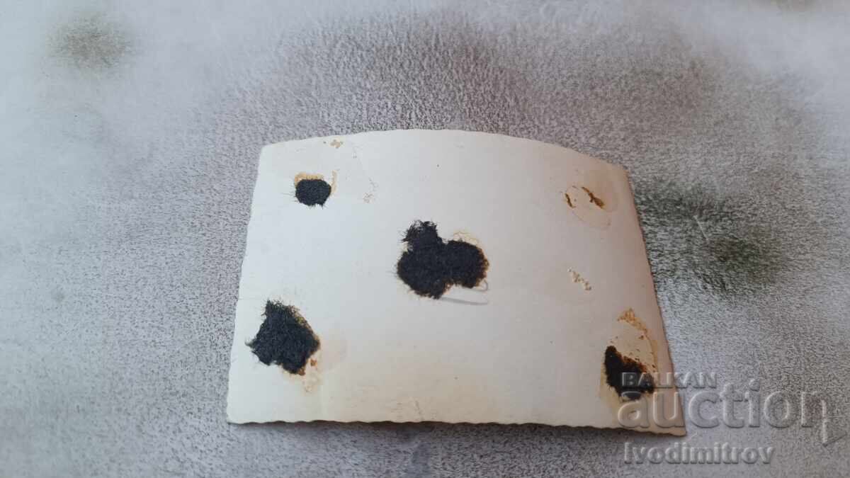 Снимка Жена на плажа с цена 1.65 лв. | € 0.84