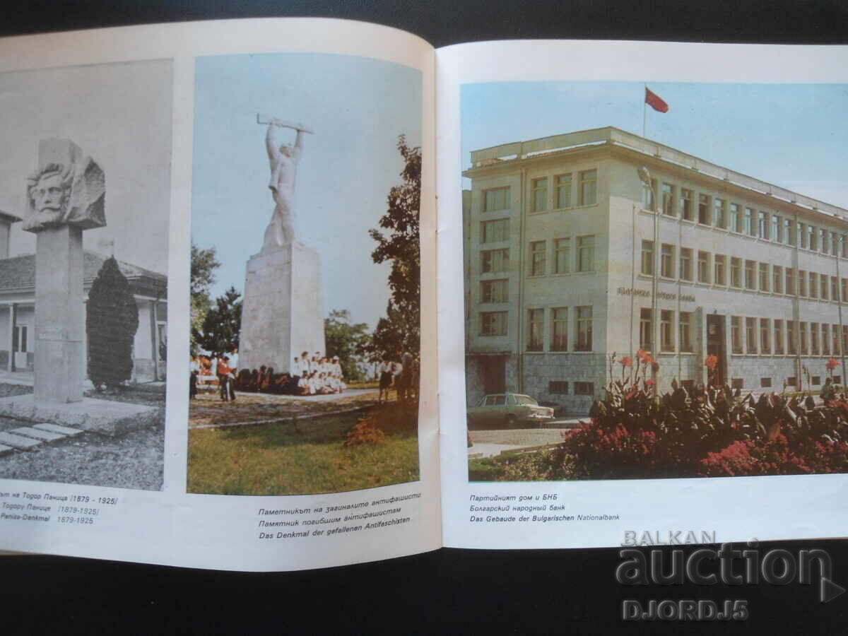 WALNUT - 5 WALNUT - 5