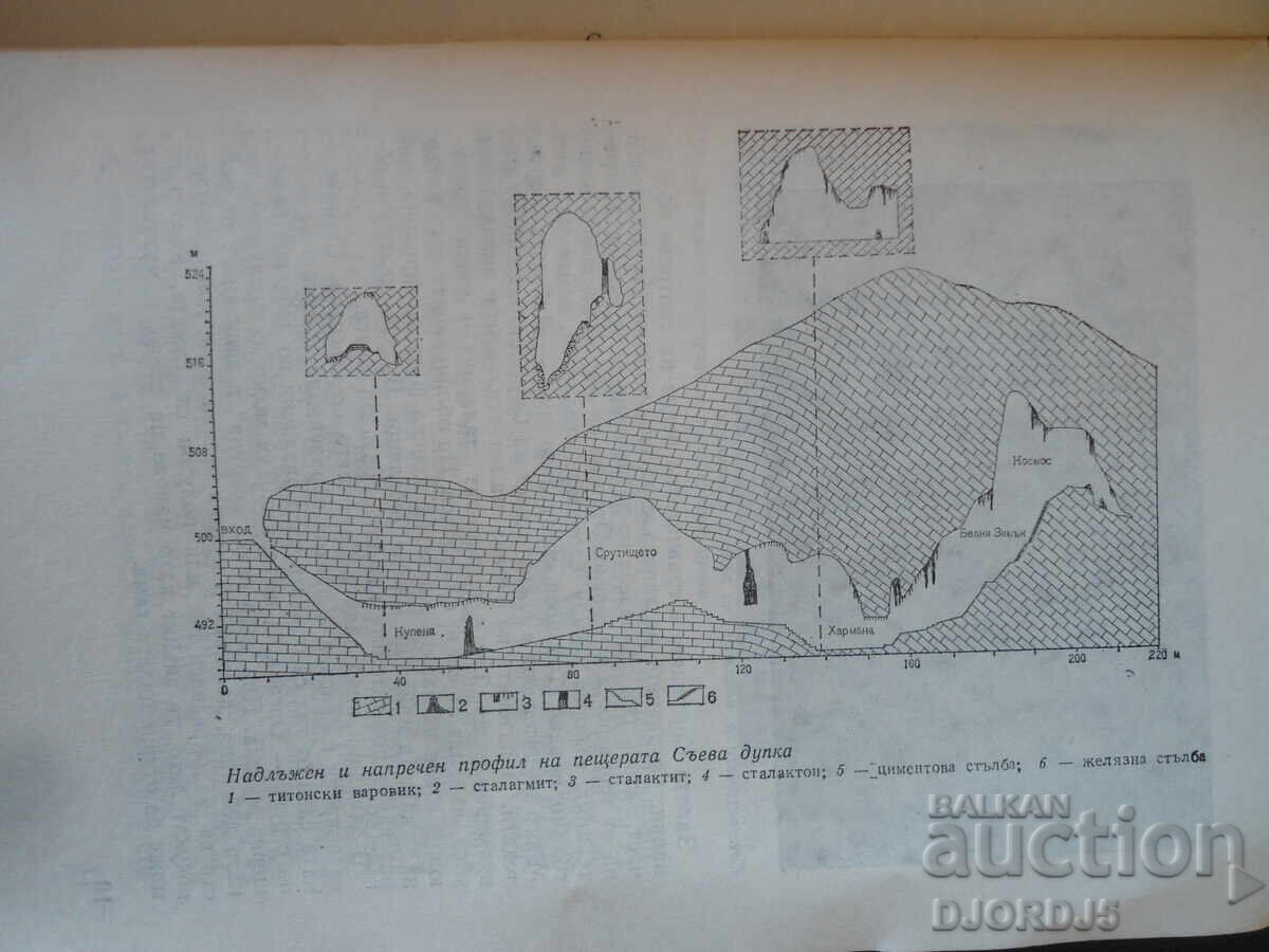 Auction SEED HOLE, Small Tourist Library Auction SEED HOLE, Small Tourist Library
