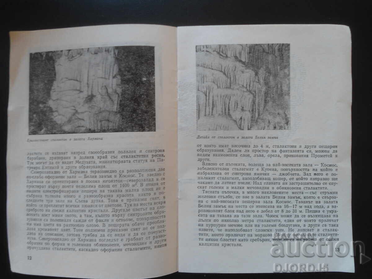 Delivery of SEED HOLE, Small Tourist Library Delivery of SEED HOLE, Small Tourist Library