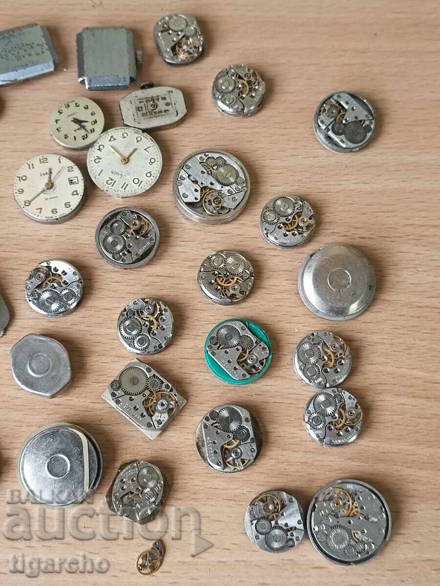 Livrarea Aparate de ceas pentru femei Livrarea Aparate de ceas pentru femei