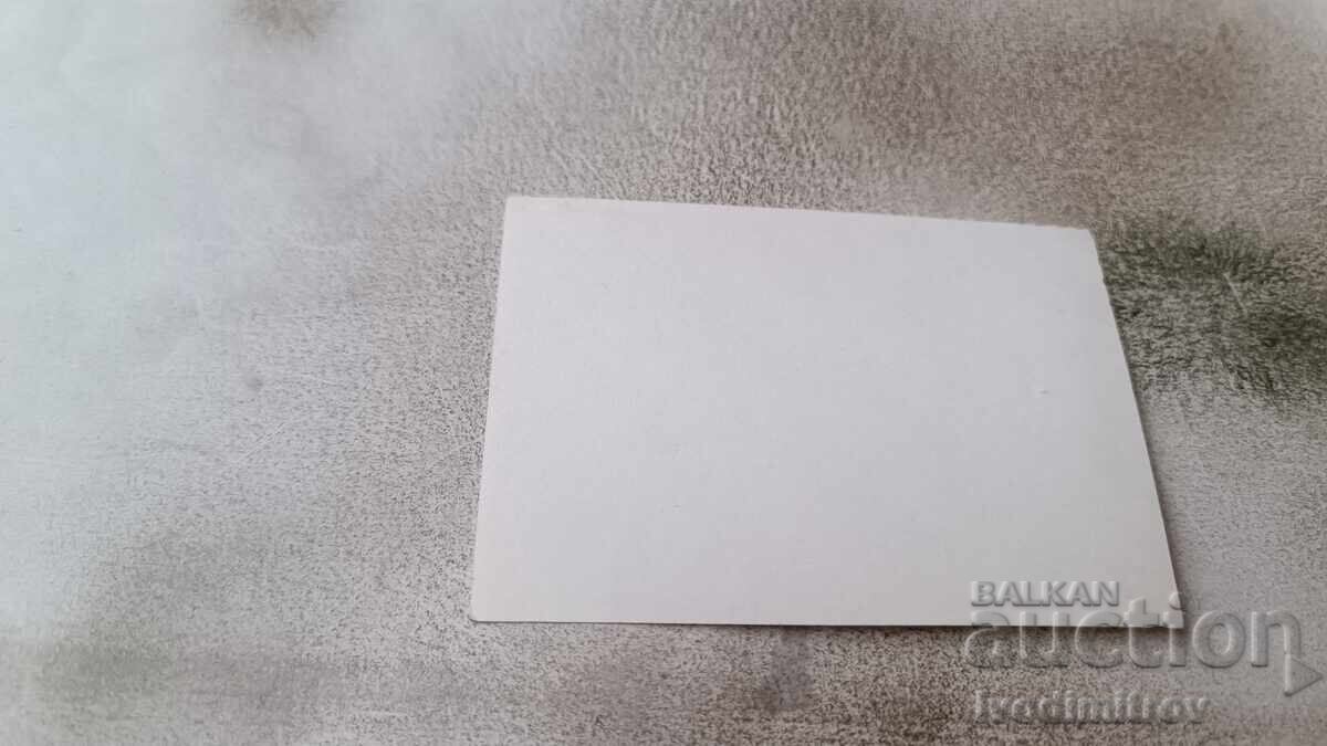 Φωτογραφία Γυναίκες στην παραλία με τιμή 1.35 BGN | € 0.69 Φωτογραφία Γυναίκες στην παραλία με τιμή 1.35 BGN | € 0.69