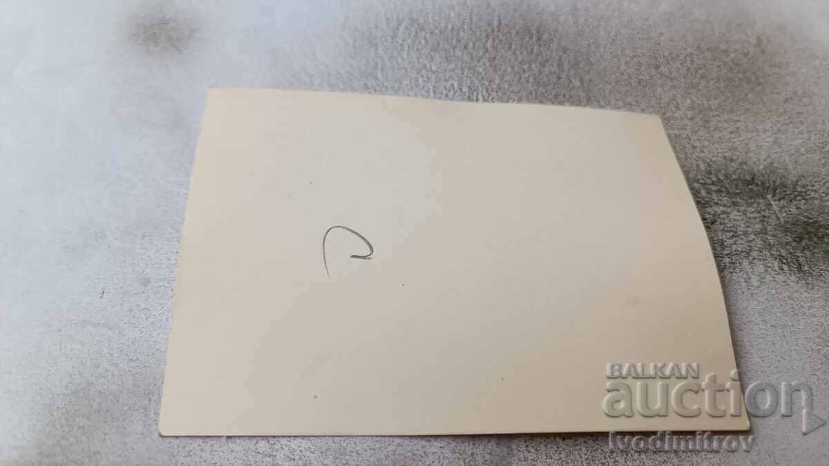 Снимка Жена на плажа с цена 1.65 лв. | € 0.84