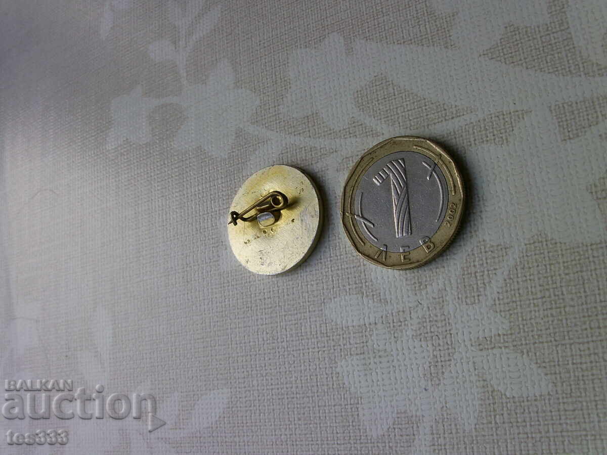 Значка Социалдемократическа партия немарксисти - 5