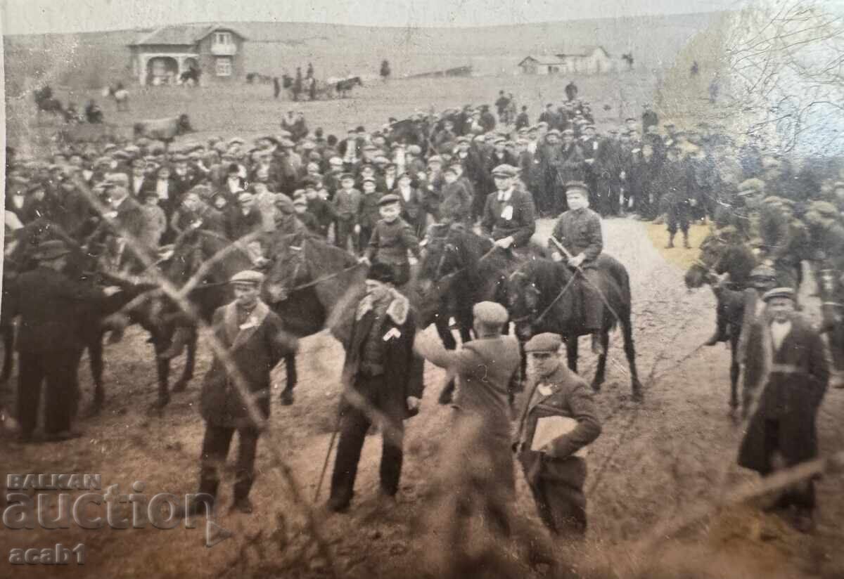 Събор Кушия Коне с цена 9.99 лв. | € 5.11 Събор Кушия Коне с цена 9.99 лв. | € 5.11