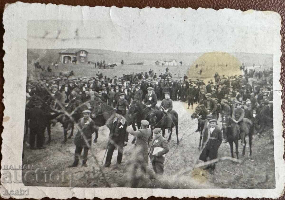 Събор Кушия Коне Събор Кушия Коне