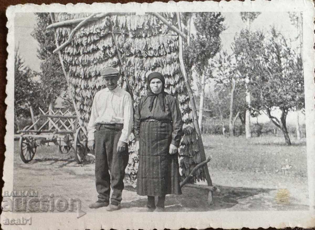 Tobacconists Tobacconists