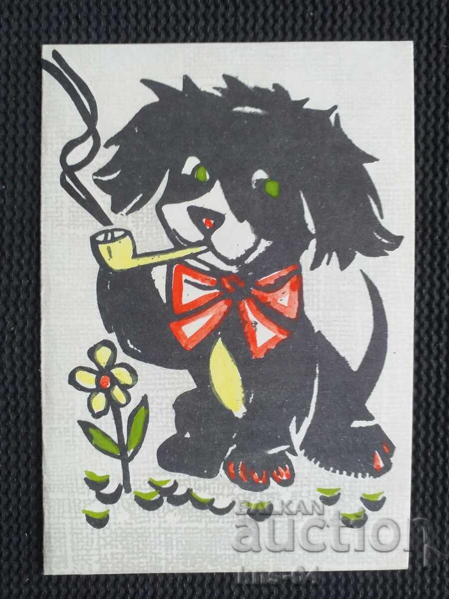 Congratulatory Double Congratulatory Double