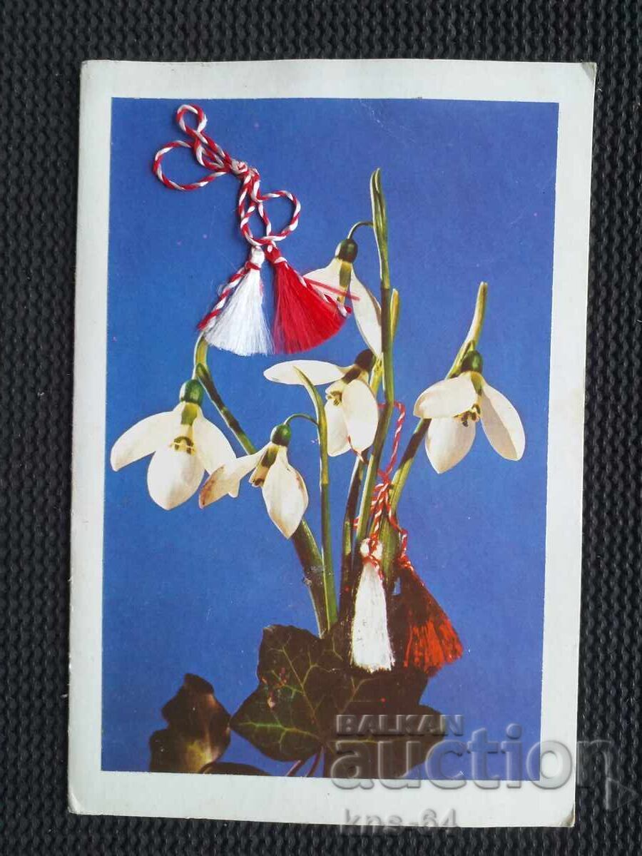 Congratulatory Double Congratulatory Double