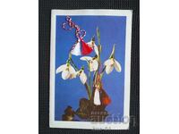 Congratulatory Double