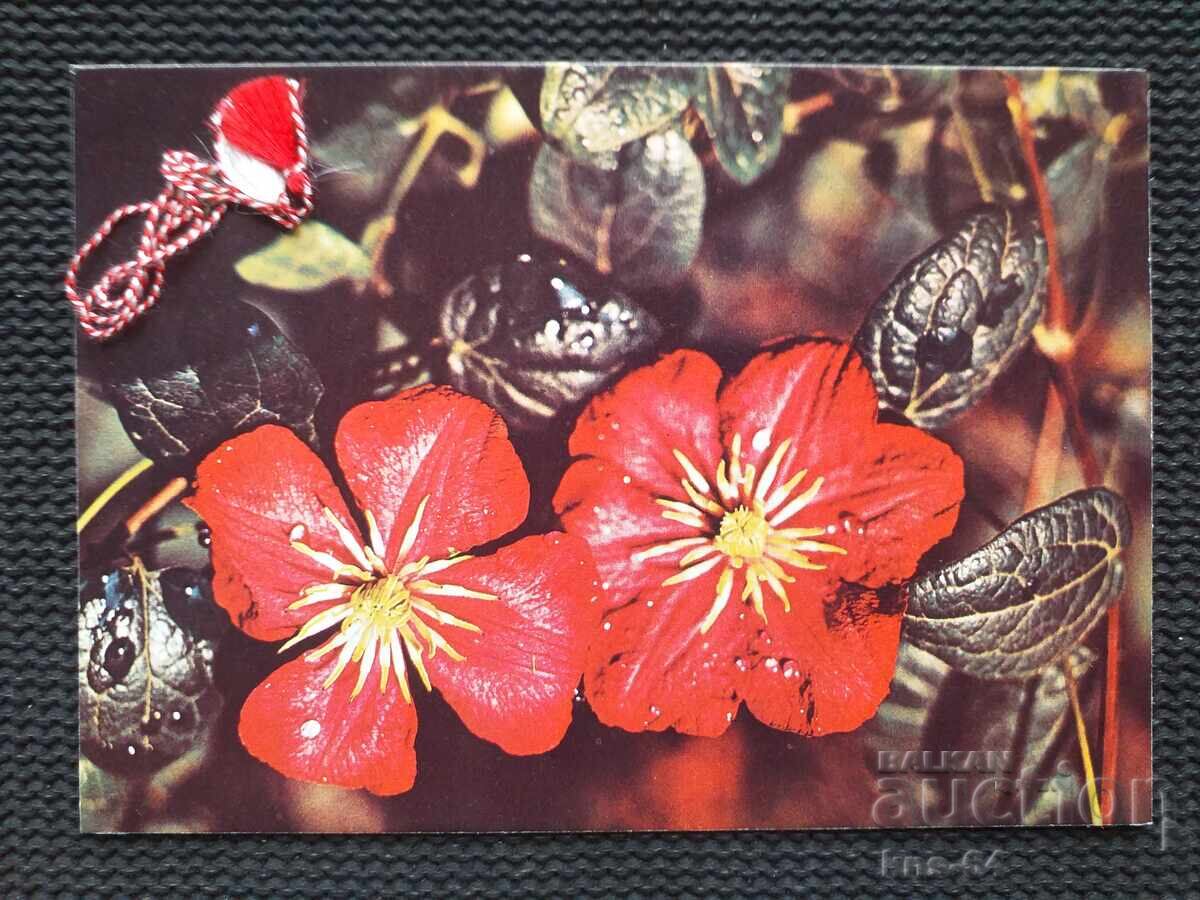 Congratulatory Congratulatory