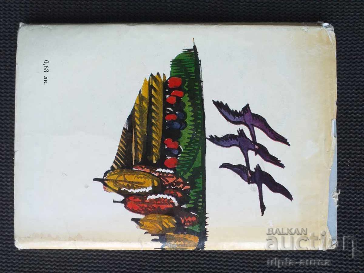 Social Children's Book - 5 Social Children's Book - 5