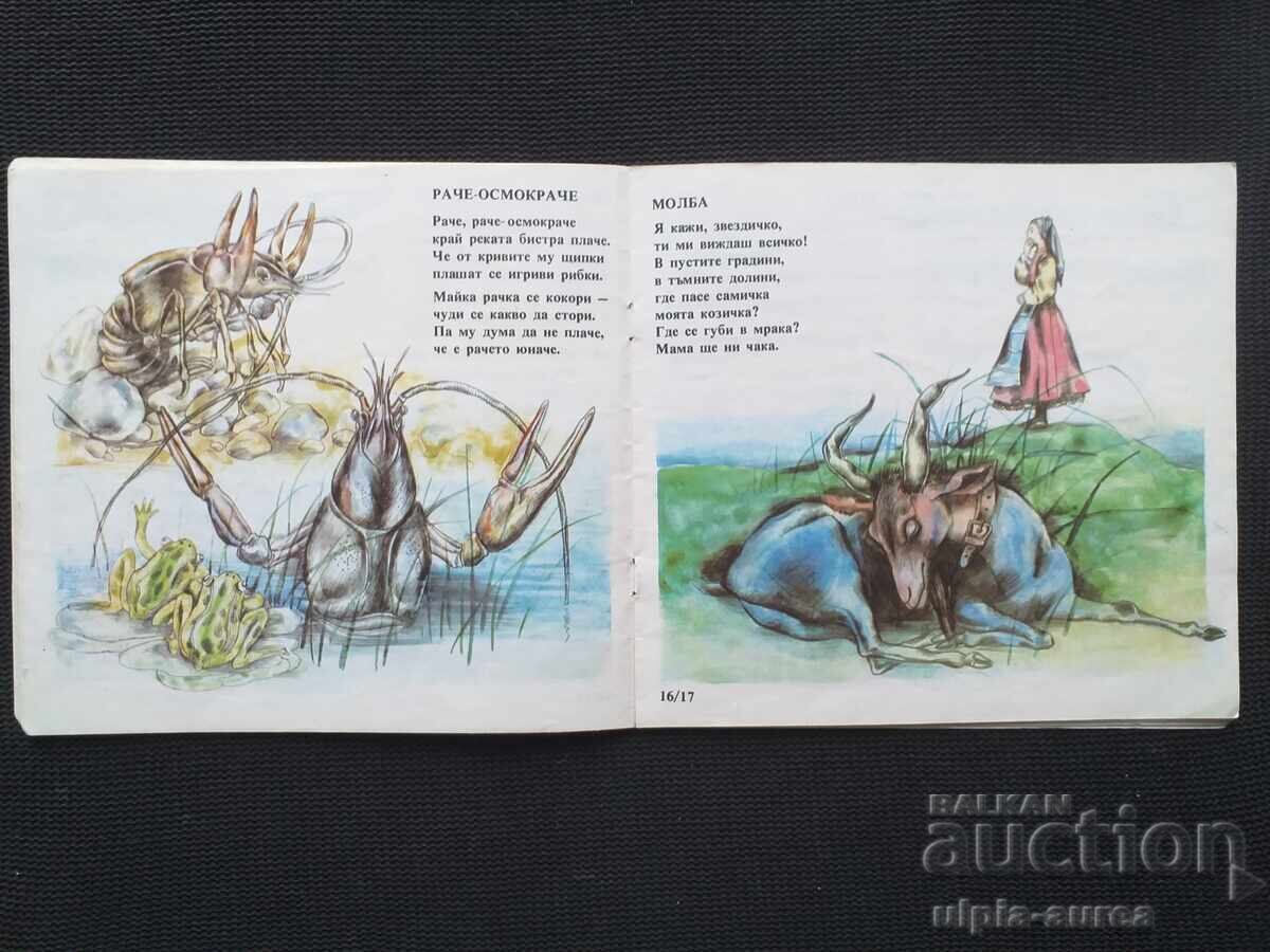 Social Children's Book - 6