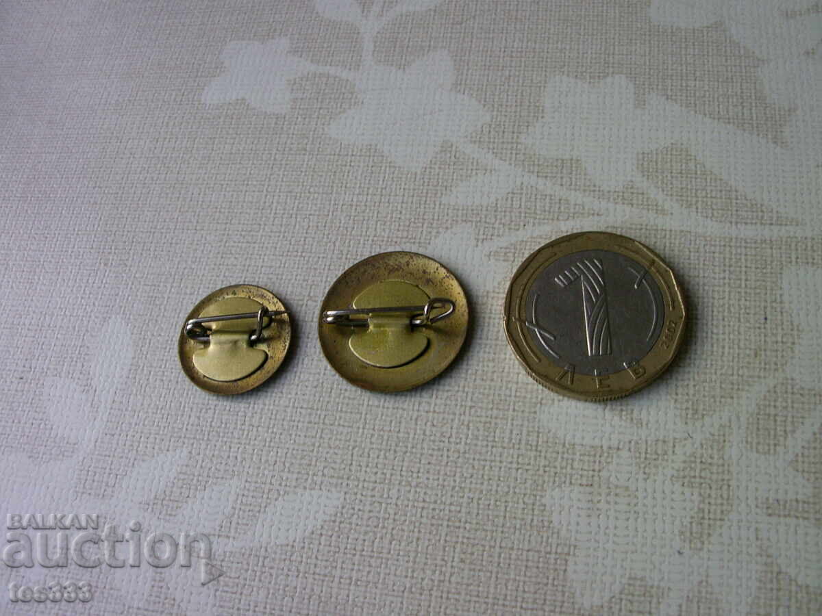 Badges lot small and large Minstroy Madan - 6