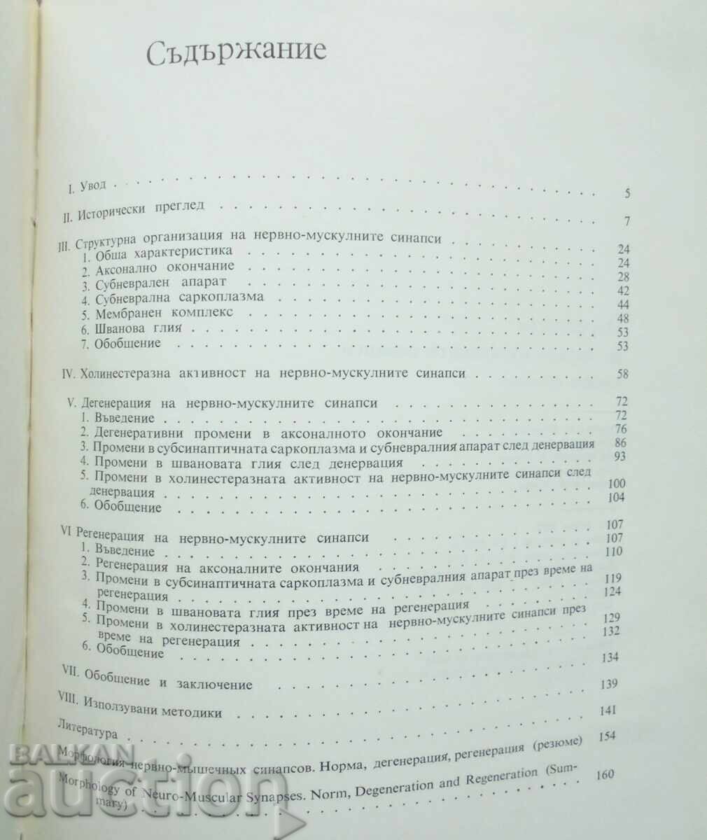 Delivery of Morphology of neuromuscular synapses Stefan Manolov 1976 Delivery of Morphology of neuromuscular synapses Stefan Manolov 1976