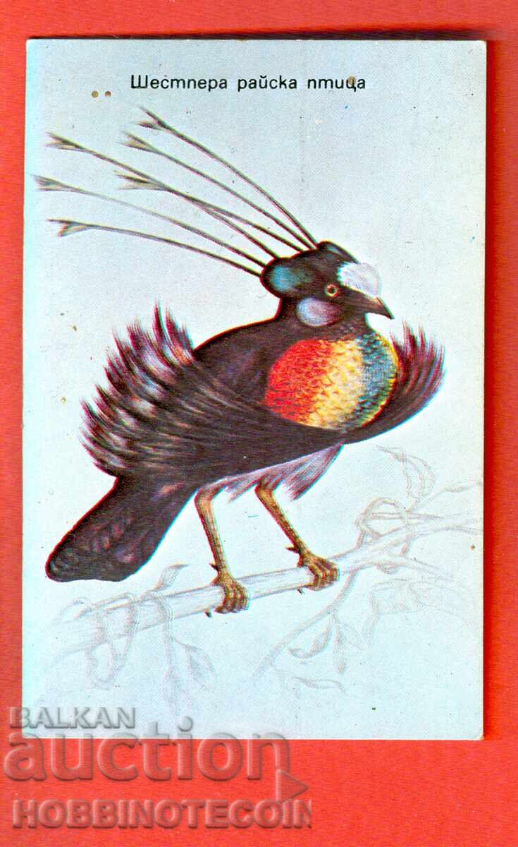 CALENDAR - SIX-FEATHER BIRD OF PARADISE - 1986