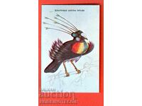 CALENDAR - SIX-FEATHER BIRD OF PARADISE - 1986