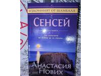 Сенсей. Книга 2	Анастасия Нових