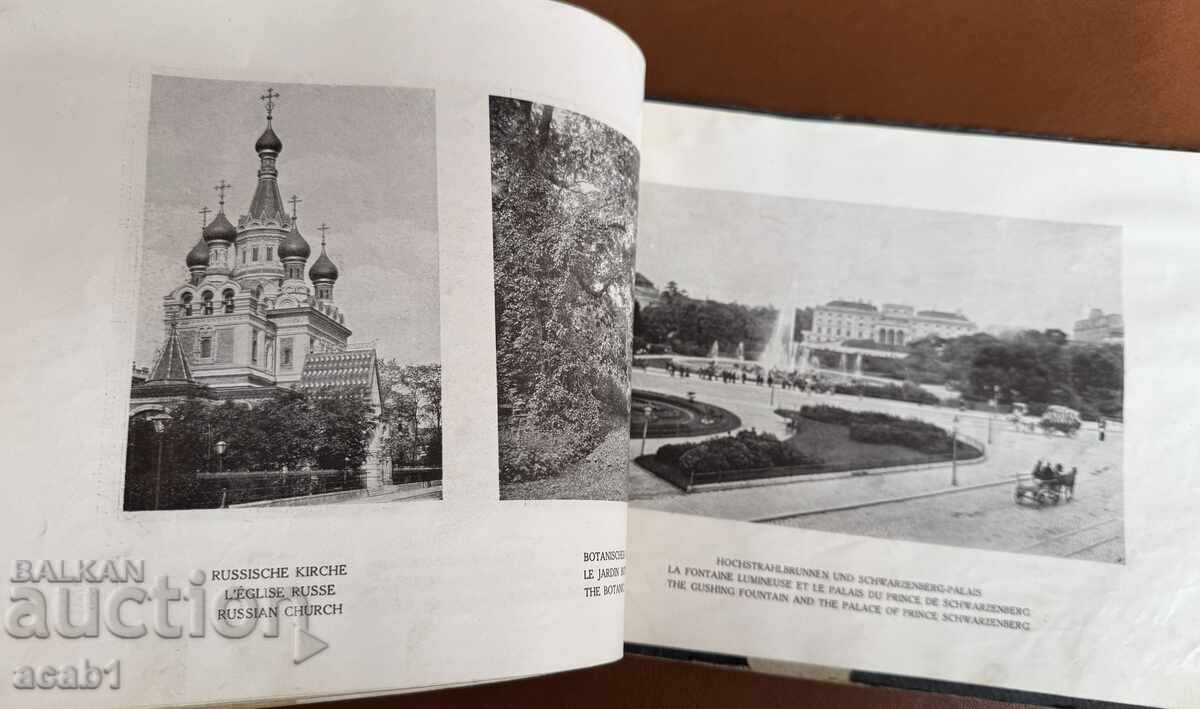 Album Viena 20 de ani - 5 Album Viena 20 de ani - 5