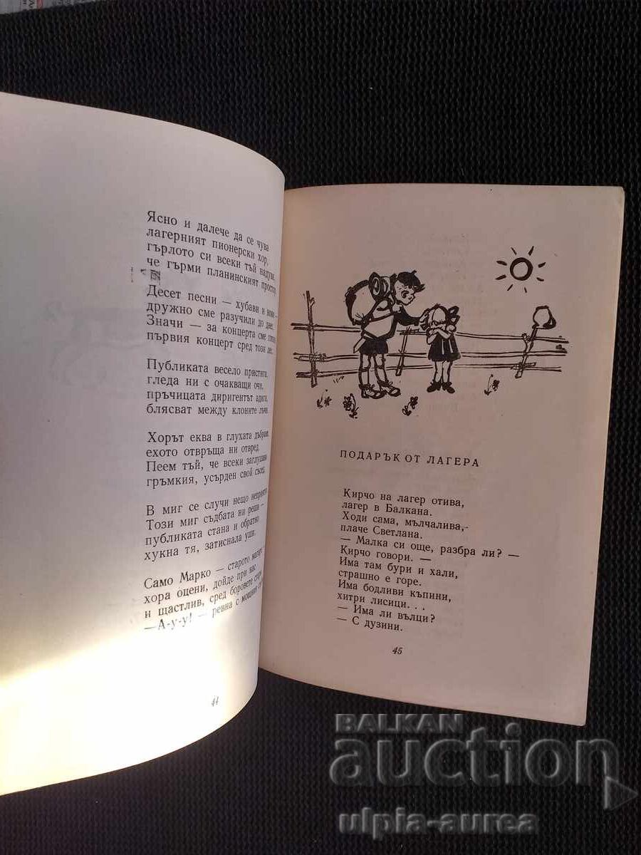 Auction  Social Children's Book