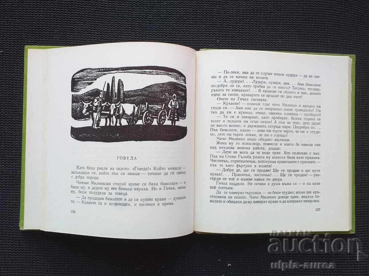 Auction  Social Children's Book