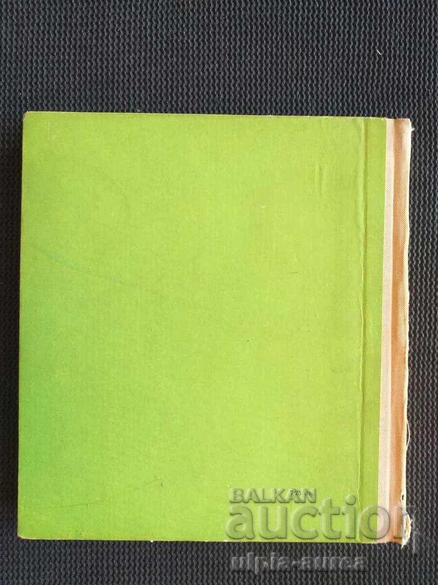 Social Children's Book - 5