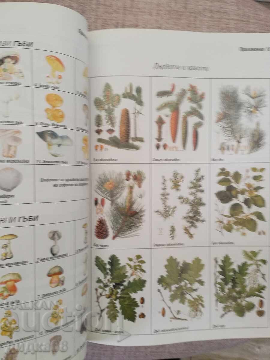 Encyclopedic reference book Chepino: A-Z Velingrad. Rakitovo - 5 Encyclopedic reference book Chepino: A-Z Velingrad. Rakitovo - 5